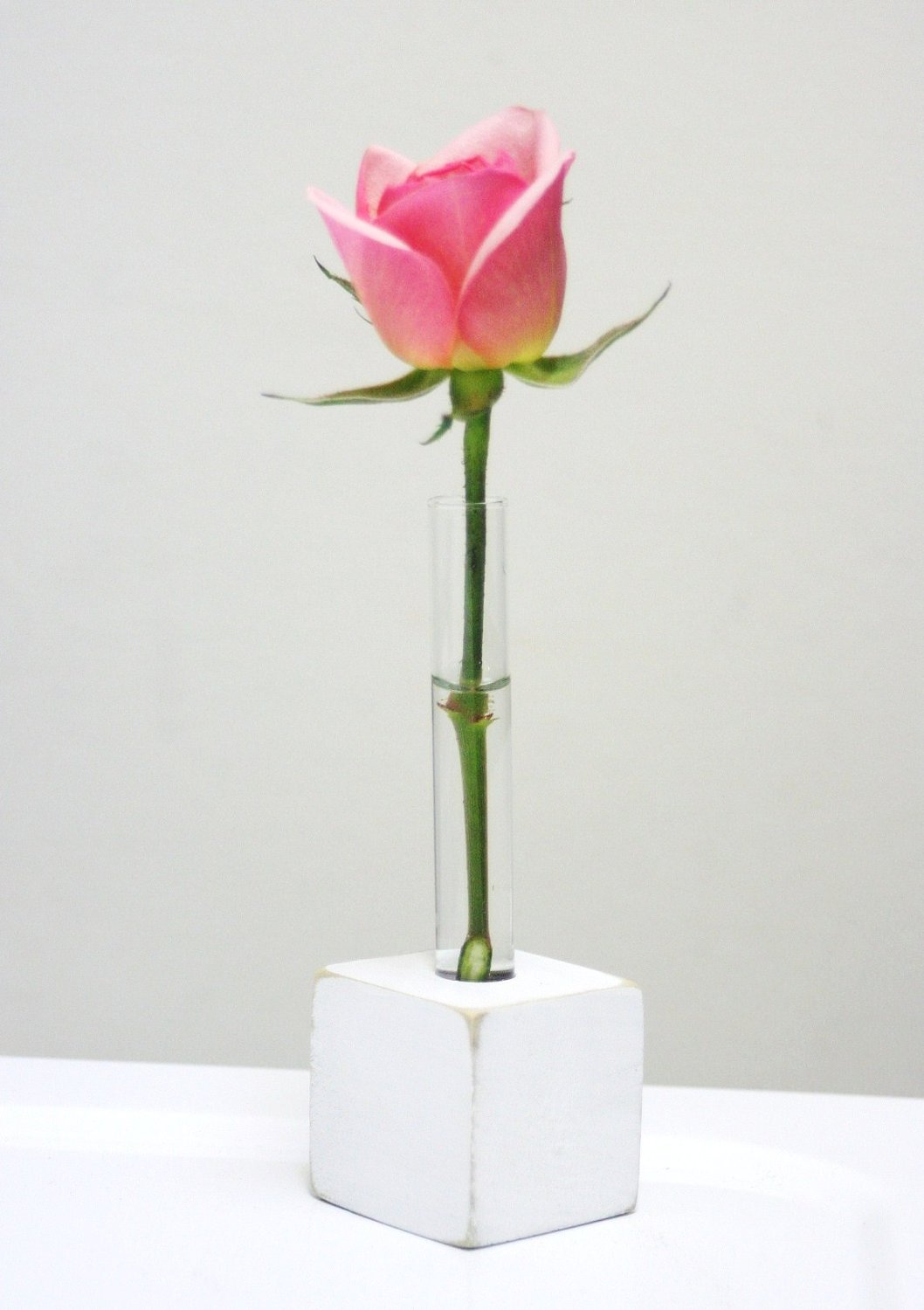 image-2642479-Single_Flower.jpg